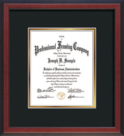 View of Custom Cherry Reverse Document Frame with Black on Gold Mat - Vertical