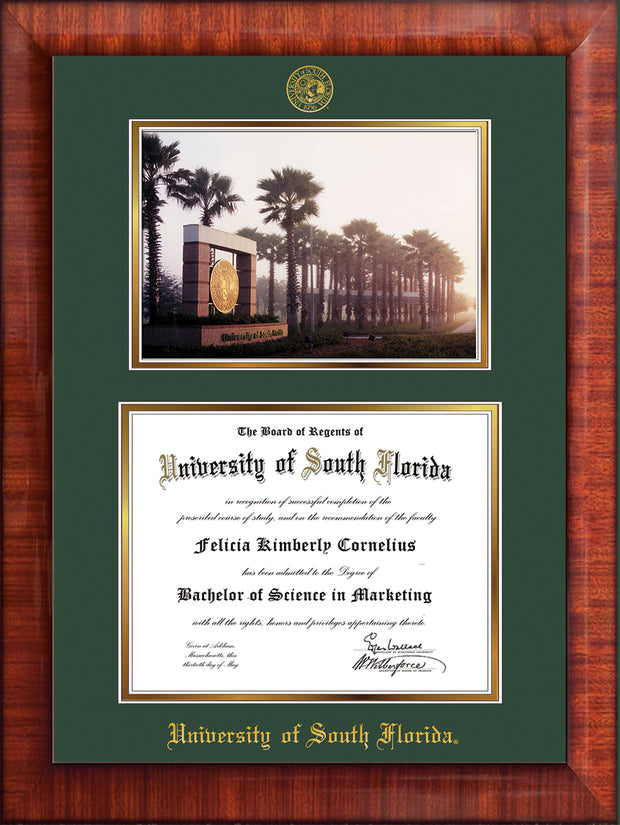 Image of University of South Florida Diploma Frame - Mezzo Gloss - w/Embossed USF Seal & Name - Photo - Green on Gold mat
