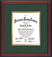 Image of Custom Cherry Reverse Art and Document Frame with Green on Gold Mat Vertical