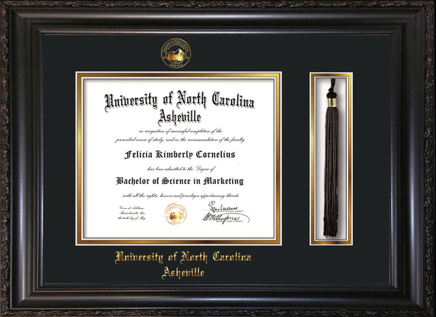 Image of University of North Carolina Asheville Diploma Frame - Vintage Black Scoop - w/Embossed UNCA Seal & Name - Tassel Holder - Black on Gold mat