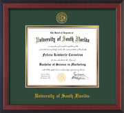 Image of University of South Florida Diploma Frame - Cherry Reverse - w/Embossed USF Seal & Name - Green on Gold mat