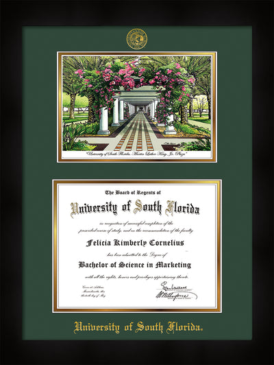 Image of University of South Florida Diploma Frame - Flat Matte Black - w/Embossed USF Seal & Name - Watercolor - Green on Gold mat