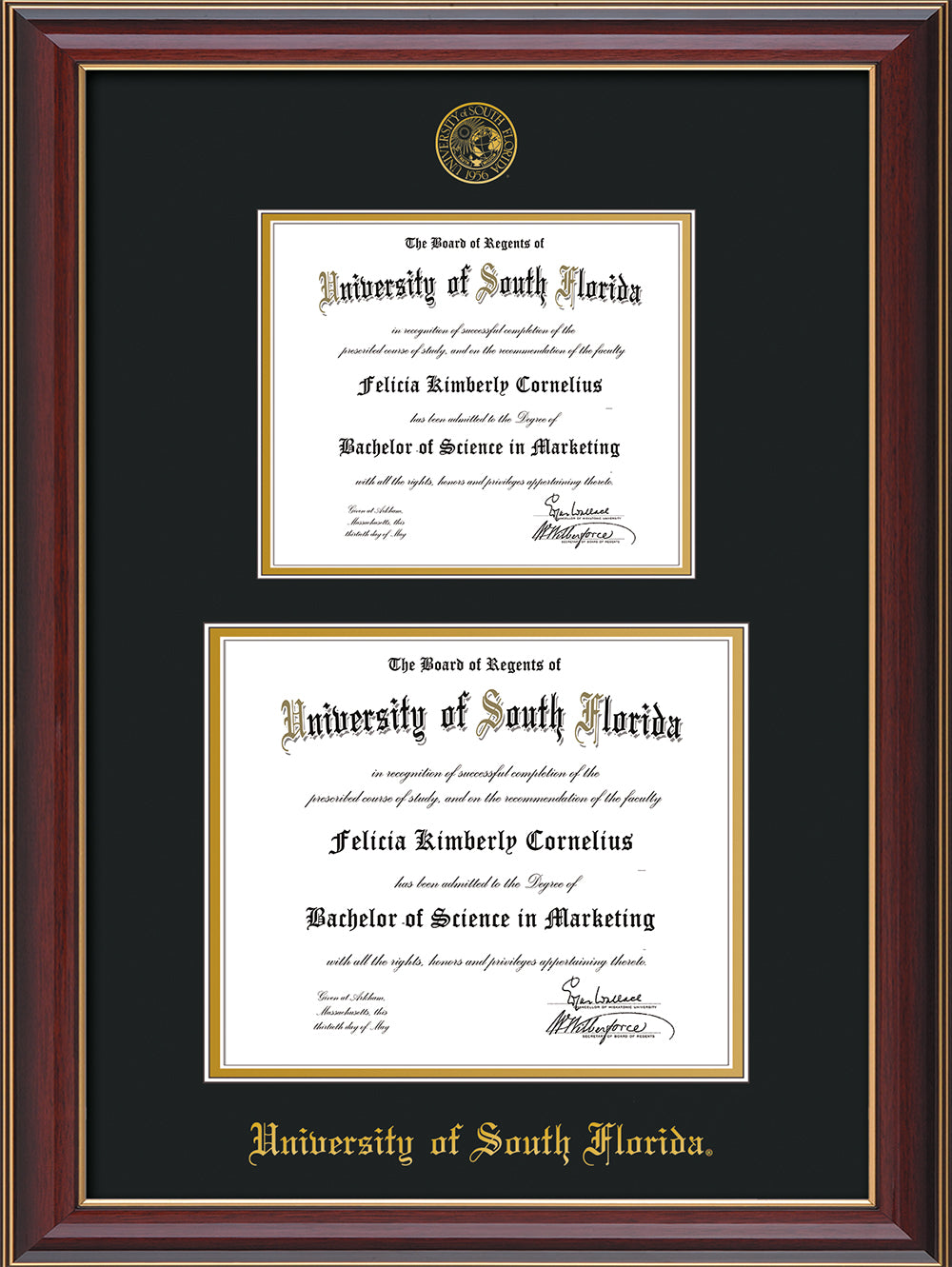 University of South Florida With Double Diploma