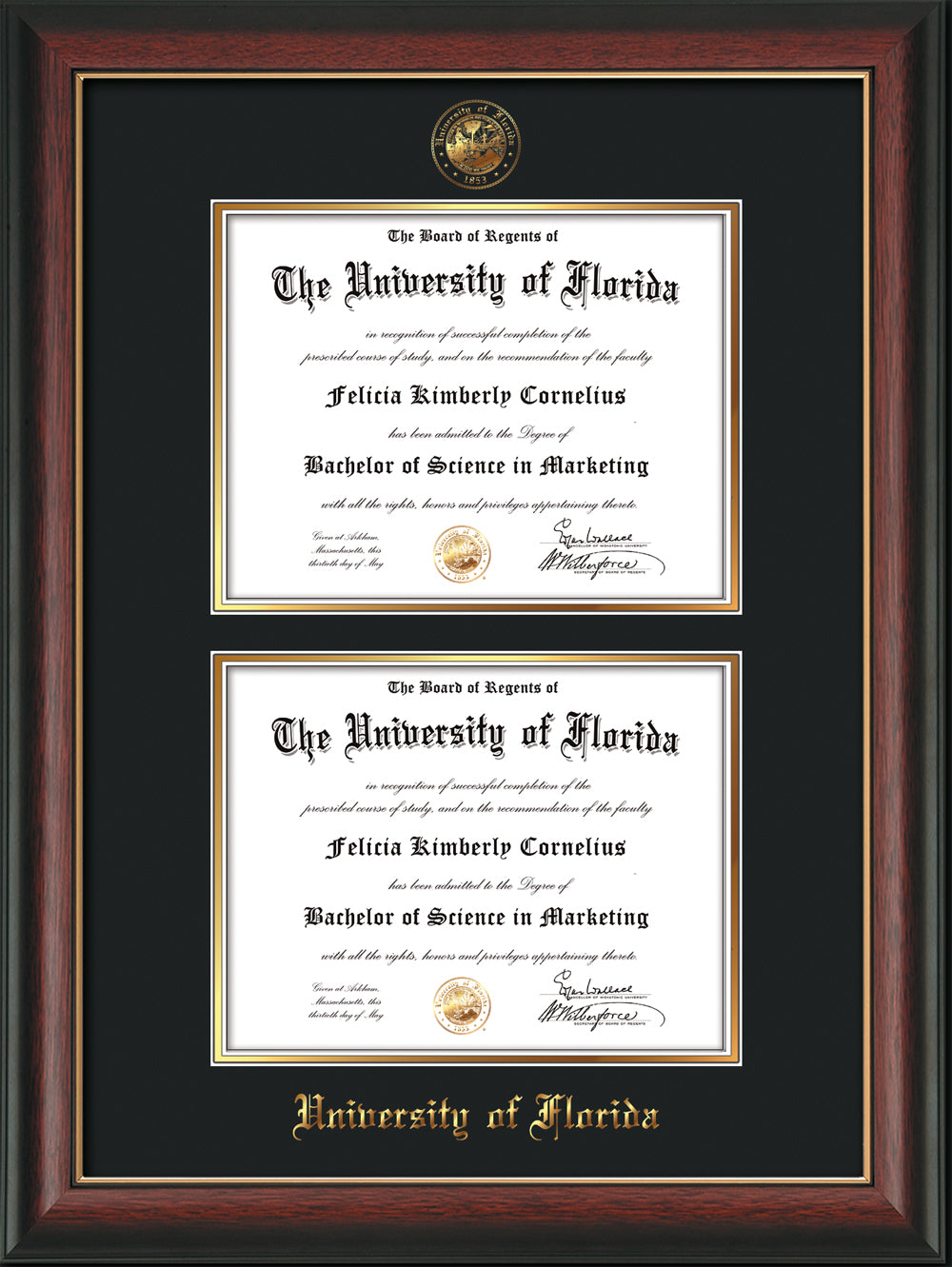 University of Florida Double Diploma