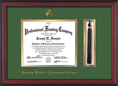 Image of Abraham Baldwin Agricultural College Diploma Frame - Cherry Reverse - w/Embossed ABAC Seal & Name - Tassel Holder - Green on Gold mat