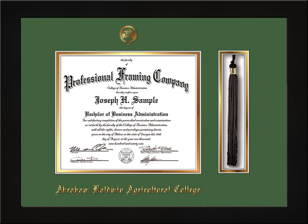 Image of Abraham Baldwin Agricultural College Diploma Frame - Flat Matte Black - w/Embossed ABAC Seal & Name - Tassel Holder - Green on Gold mat