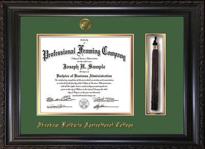 Image of Abraham Baldwin Agricultural College Diploma Frame - Vintage Black Scoop - w/Embossed ABAC Seal & Name - Tassel Holder - Green on Gold mat