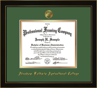 Image of Abraham Baldwin Agricultural College Diploma Frame - Honors Black Satin - w/Embossed ABAC Seal & Name - Green on Gold mat