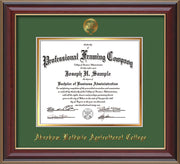 Image of Abraham Baldwin Agricultural College Diploma Frame - Cherry Lacquer - w/Embossed ABAC Seal & Name - Green on Gold mat