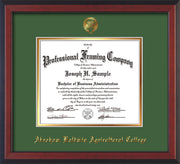 Image of Abraham Baldwin Agricultural College Diploma Frame - Cherry Reverse - w/Embossed ABAC Seal & Name - Green on Gold mat