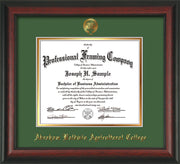 Image of Abraham Baldwin Agricultural College Diploma Frame - Rosewood - w/Embossed ABAC Seal & Name - Green on Gold mat