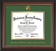 Image of Abraham Baldwin Agricultural College Diploma Frame - Rosewood w/Gold Lip - w/Embossed ABAC Seal & Name - Green on Gold mat