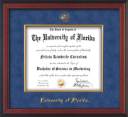 Image of University of Florida Diploma Frame - Cherry Reverse - w/Embossed UF Seal & Name - Fillet - Royal Blue Suede mat