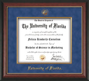 Image of University of Florida Diploma Frame - Rosewood with Gold Lip - w/Embossed UF Seal & Name - Fillet - Royal Blue Suede mat