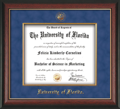 Image of University of Florida Diploma Frame - Rosewood with Gold Lip - w/Embossed UF Seal & Name - Fillet - Royal Blue Suede mat