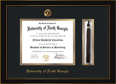 Image of University of North Georgia Diploma Frame - Honors Black Satin - w/Embossed UNG Seal & Name - Tassel Holder - Black on Gold mat