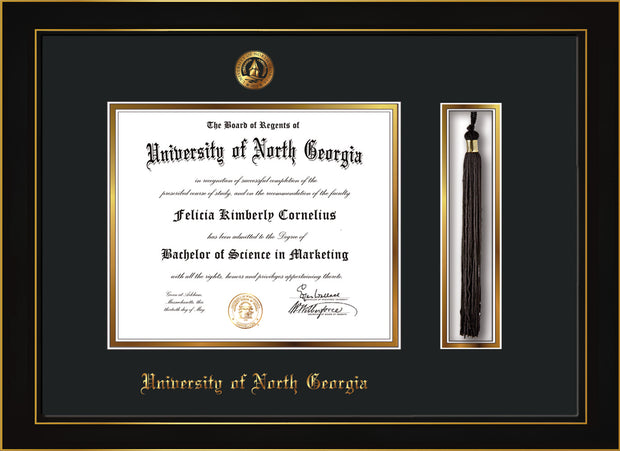 Image of University of North Georgia Diploma Frame - Honors Black Satin - w/Embossed UNG Seal & Name - Tassel Holder - Black on Gold mat