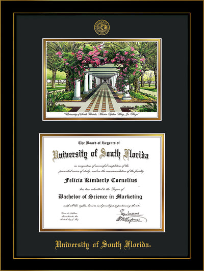 Image of University of South Florida Diploma Frame - Honors Black Satin - w/Embossed USF Seal & Name - Watercolor - Black on Gold mat