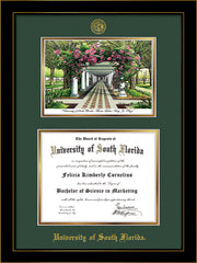 Image of University of South Florida Diploma Frame - Honors Black Satin - w/Embossed USF Seal & Name - Watercolor - Green on Gold mat