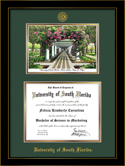 Image of University of South Florida Diploma Frame - Honors Black Satin - w/Embossed USF Seal & Name - Watercolor - Green on Gold mat