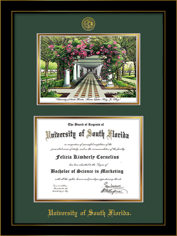 Image of University of South Florida Diploma Frame - Honors Black Satin - w/Embossed USF Seal & Name - Watercolor - Green on Gold mat