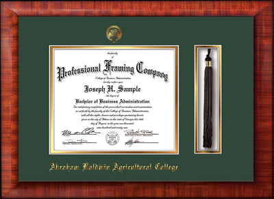 Image of Abraham Baldwin Agricultural College Diploma Frame - Mezzo Gloss - w/Embossed ABAC Seal & Name - Tassel Holder - Green on Gold mat