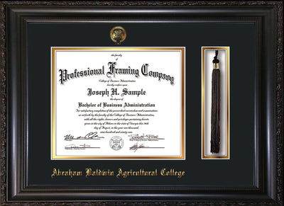 Image of Abraham Baldwin Agricultural College Diploma Frame - Vintage Black Scoop - w/Embossed ABAC Seal & Name - Tassel Holder - Black on Gold mat