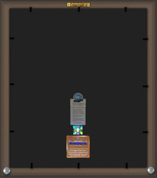 Back View of University of Florida Diploma Frame - Mahogany Braid - w/Embossed School Name Only - Campus Collage - Royal Blue Suede on Orange mat