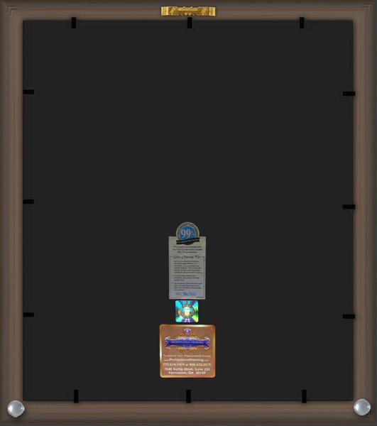 Back View of Georgia Southern University Diploma Frame - Flat Matte Black - w/Embossed School Name Only - Campus Collage - Navy Suede on Gold mat