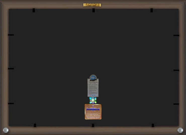 Back View of University of North Carolina Charlotte Diploma Frame - Vintage Black Scoop - w/Official Embossing of UNCC Seal & Name - Tassel Holder - Green on Gold