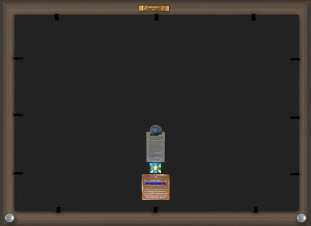 Back View of Northern New Mexico College Diploma Frame - Honors Black Satin - w/Embossed NNMC Seal & Name - Tassel Holder - Black on Gold mat