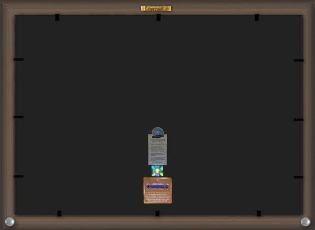 Back View of University of Texas - El Paso Diploma Frame - Vintage Black Scoop - w/UTEP Embossed Seal & Name - Tassel Holder - Navy on Orange mat