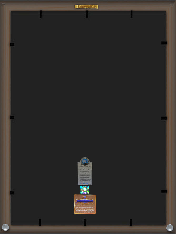 Back View of Auburn University Diploma Frame - Honors Black Satin - w/Embossed Seal & Name - Campus Watercolor - Navy on Orange mat