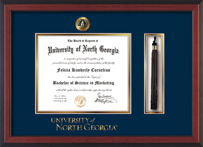 Image of University of North Georgia Diploma Frame - Cherry Reverse - w/Embossed UNG Seal & Wordmark - Tassel Holder - Navy on Gold mat