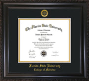 Image of Florida State University Diploma Frame - Vintage Black Scoop - w/Embossed FSU Seal & College of Medicine Name - Black on Gold mats