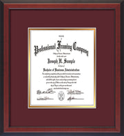 Image of Custom Cherry Reverse Art and Document Frame with Maroon on Gold Mat Vertical