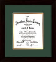 Image of Custom Flat Matte Black Art and Document Frame with Green on Gold Mat Vertical