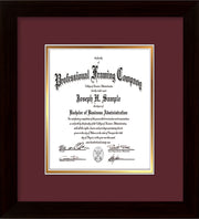 Image of Custom Flat Matte Black Art and Document Frame with Maroon on Gold Mat Vertical