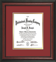 Image of Custom Rosewood Art and Document Frame with Garnet on Gold Mat Vertical