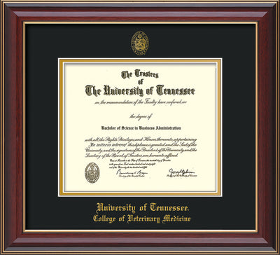 Image of University of Tennessee Diploma Frame - Cherry Lacquer - w/UT Seal & College of Veterinary Medicine Name Embossing - Black on Gold Mat