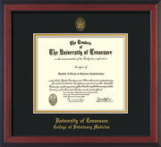 Image of University of Tennessee Diploma Frame - Cherry Reverse - w/UT Seal & College of Veterinary Medicine Name Embossing - Black on Gold Mat