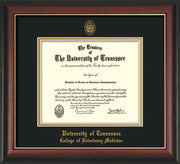 University of Tennessee Diploma Frame - Rosewood w/Gold Lip - w/UT Seal & College of Veterinary Medicine Name Embossing - Black on Gold Mat