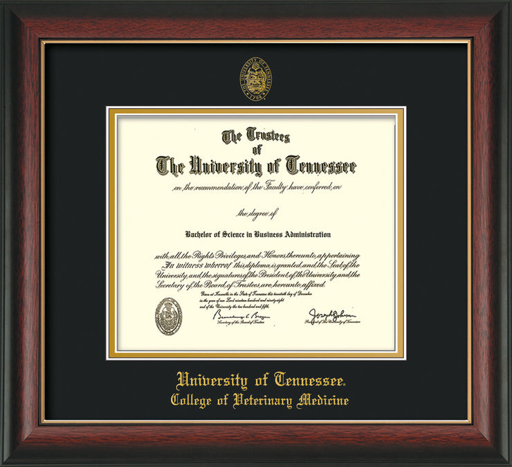 University of Tennessee Diploma Frame - Rosewood w/Gold Lip - w/UT Seal & College of Veterinary Medicine Name Embossing - Black on Gold Mat