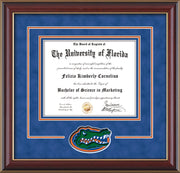 Image of University of Florida Diploma Frame - Cherry Lacquer - 3D Laser UF Gator Head Logo Cutout - Royal Blue Suede on Orange on Royal Blue mat