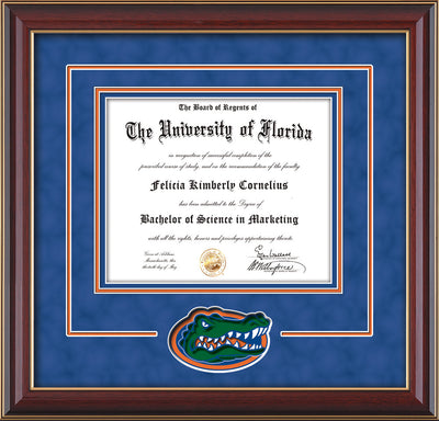 Image of University of Florida Diploma Frame - Cherry Lacquer - 3D Laser UF Gator Head Logo Cutout - Royal Blue Suede on Orange on Royal Blue mat