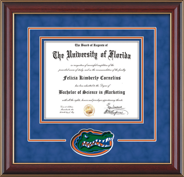 Image of University of Florida Diploma Frame - Cherry Lacquer - 3D Laser UF Gator Head Logo Cutout - Royal Blue Suede on Orange on Royal Blue mat