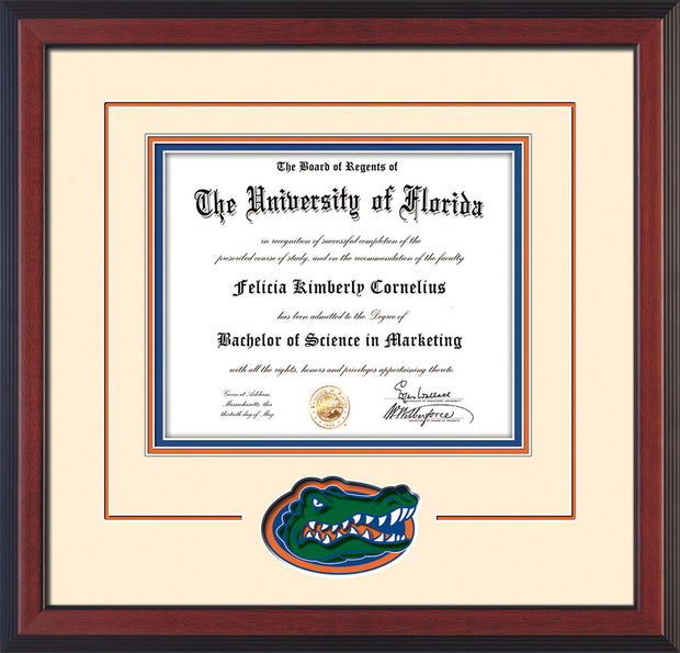 Image of University of Florida Diploma Frame - Cherry Reverse - 3D Laser UF Gator Head Logo Cutout - Cream on Orange on Royal Blue mat