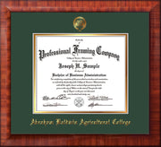 Image of Abraham Baldwin Agricultural College Diploma Frame - Mezzo Gloss - w/Embossed ABAC Seal & Name - Green on Gold mat