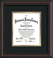 Vertical view of the Custom Mahognay Braid Art and Document Frame with Black on Gold Mat