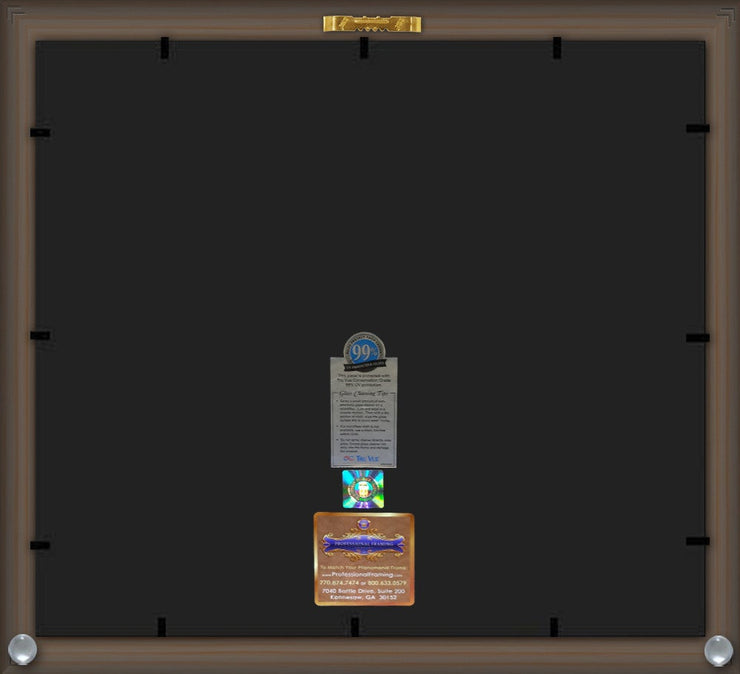 Back View of Robert Morris University - Illinois Diploma Frame - Rosewood with Gold Lip - w/Embossed RMU Seal & Name - Fillet - Black Suede mat